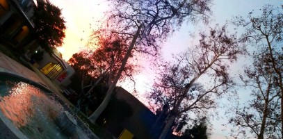 Kaleidoscopic array of color outside Pomona College Museum of Art