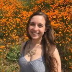 Calder in poppy field