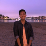 Cogie on a beach