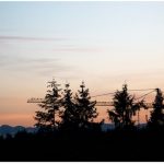 sunset with trees in foreground and crane in background