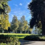 trees and grassy area with building in background